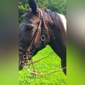 Meet your Posher, Debbie